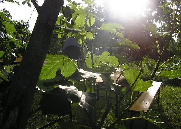 Apartman App 4- By Interhome