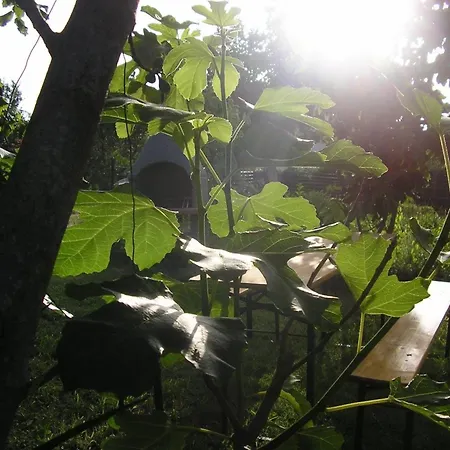 Appartement App 4- By Interhome