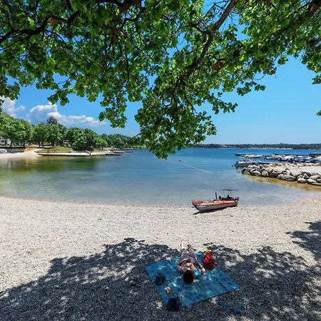 Appartement App 4- By Interhome *