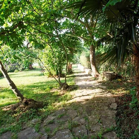 Appartement App 4- By Interhome