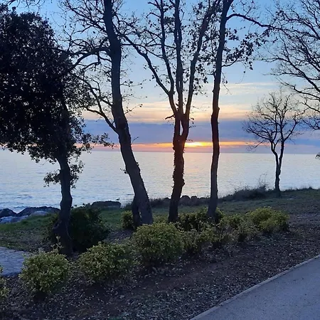 App 4- By Interhome *